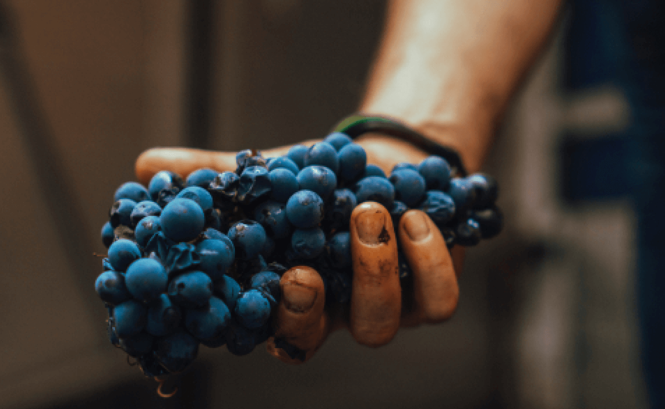Aging your wine is an important step
