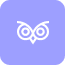 Night Owl