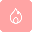 Wildfire